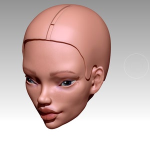 May include: A close-up of a 3D model of a person's head, showing the face and part of the scalp. The model is made of a smooth, light-colored material, and the face has realistic features, including eyes, nose, and mouth.