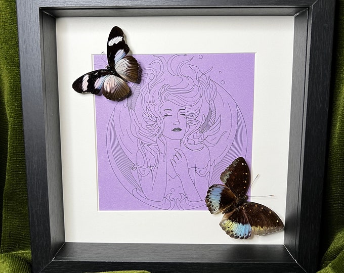 Framed real butterflies Hypolimnas and Lexias Pardalis with real pen drawing