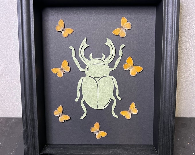 Real butterflies in frame
