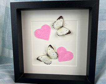 Framed real butterfly Belenois Calypso and felt pink hearts