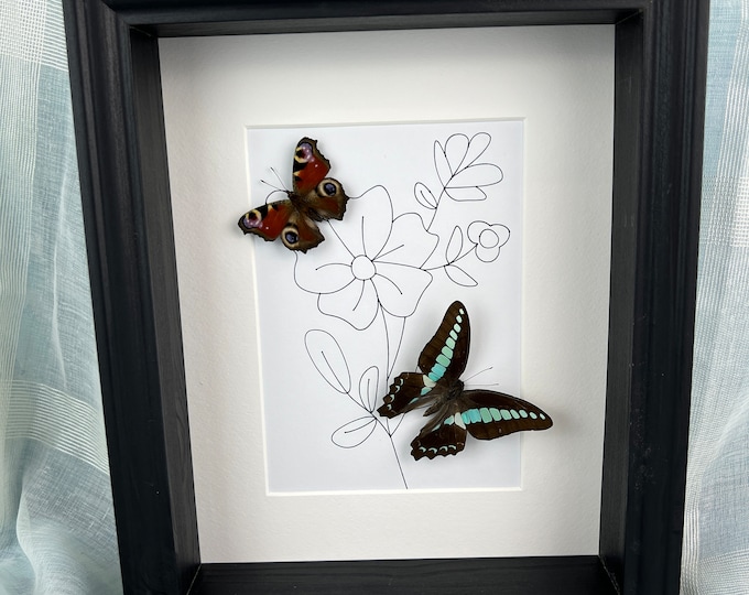 Real butterflies Aglais Io and Graphium Sarpedon in frame