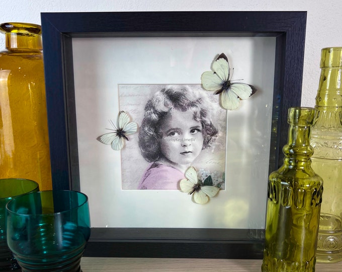 Framed real white butterflies with vintage print