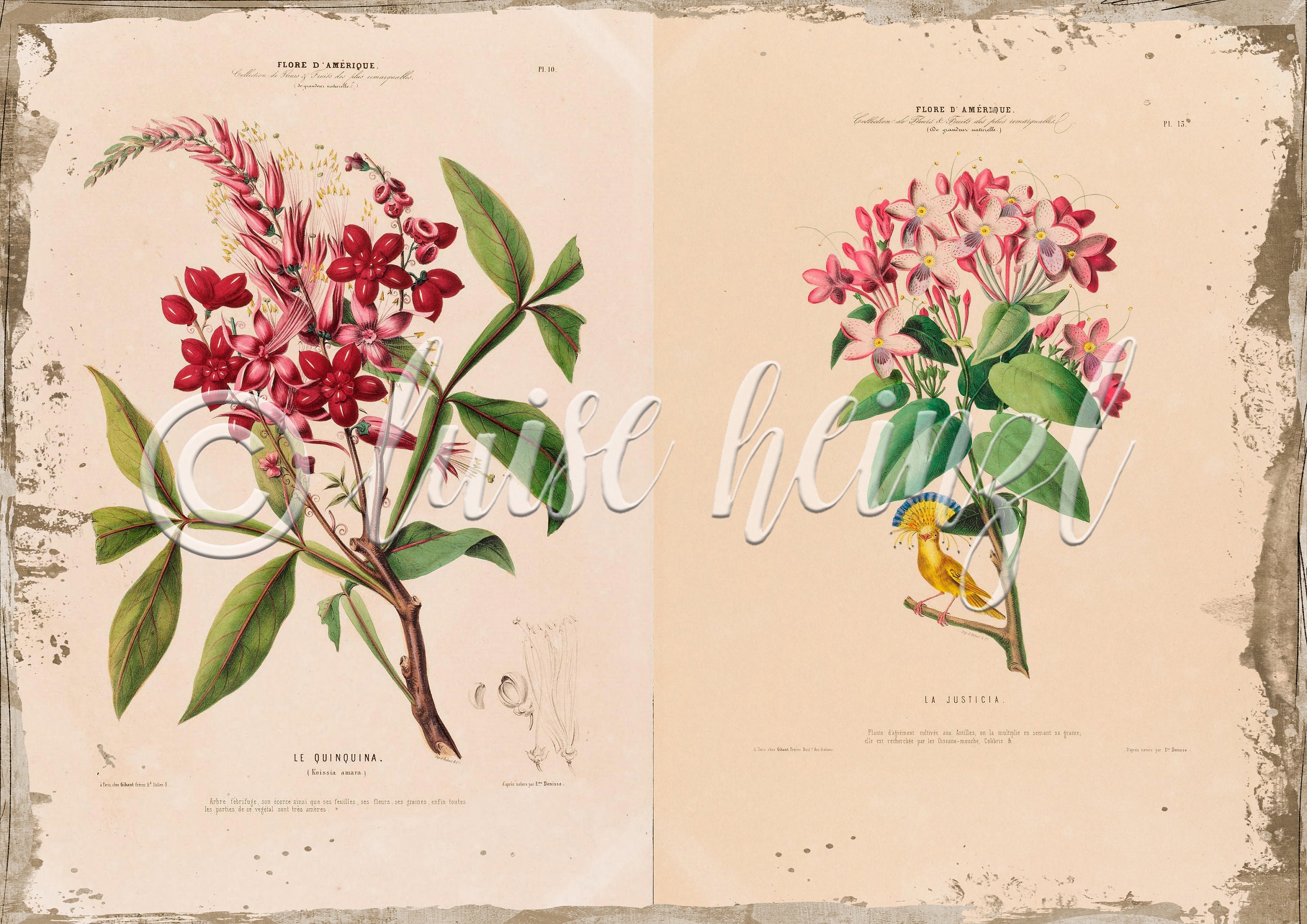 Vintage Floral Book Pages for Junk Journals, Digital Download Flower ...