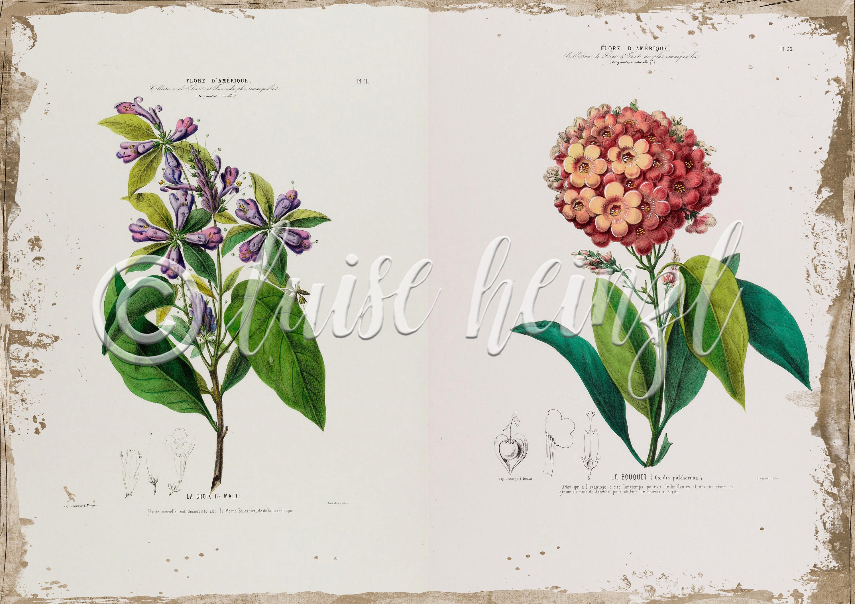 Vintage Floral Book Pages for Junk Journals, Digital Download Flower ...