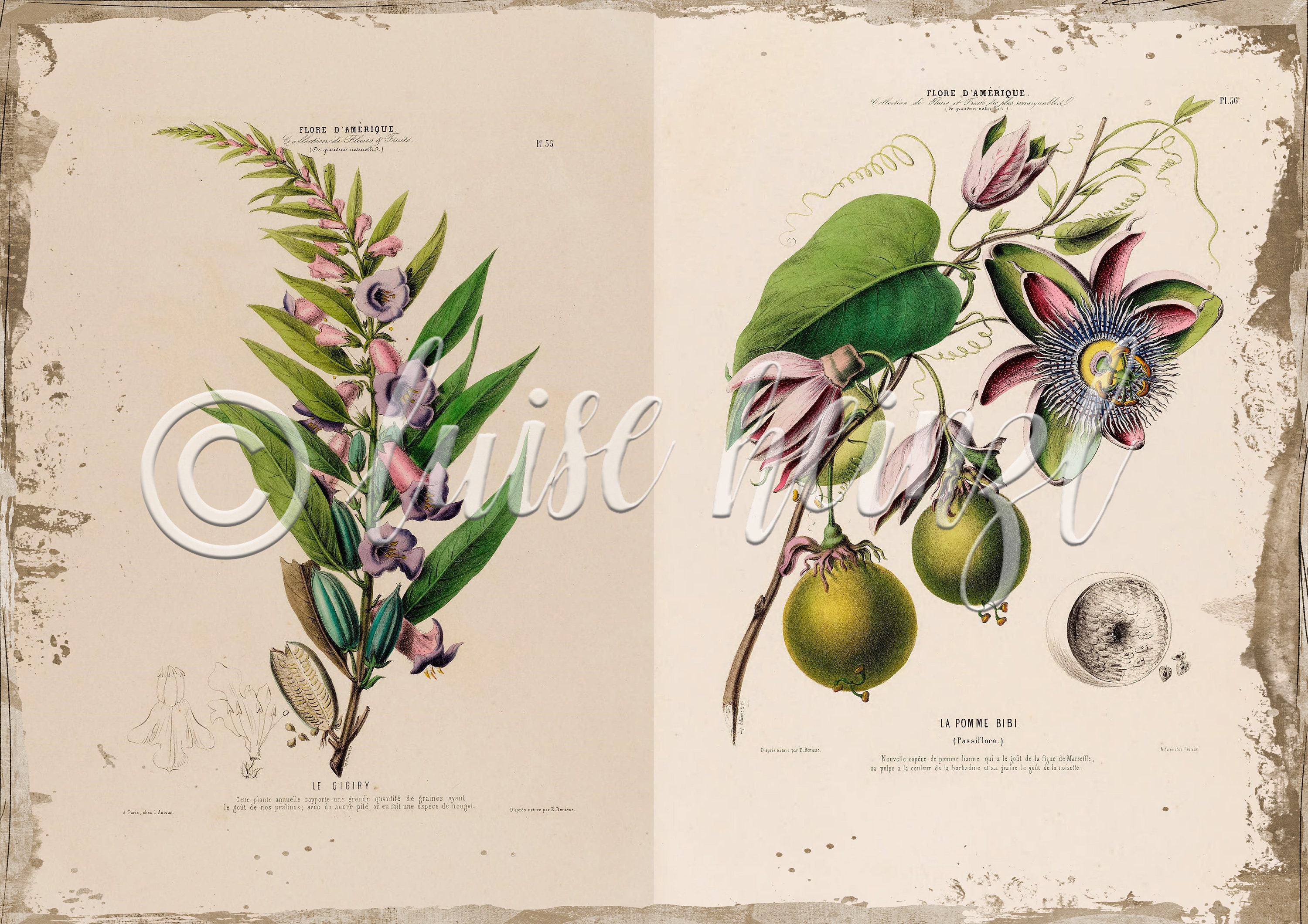 Vintage Floral Book Pages for Junk Journals, Digital Download Flower ...