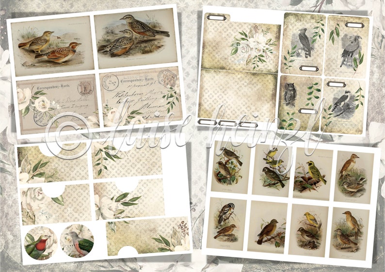 May include: A digital paper pack featuring vintage illustrations of birds, flowers, and text. The pack includes a variety of images, such as birds on branches, flowers in a vase, and a vintage postcard with text. The images are in a muted colour palette of browns, greens, and whites.