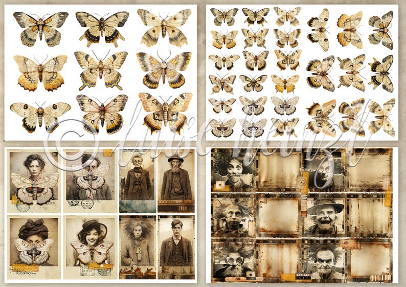 ID CARD ODDITIES Ephemera Pack, Funny Vintage Collage Photos, Photo Booth, Fussy Cut Images for