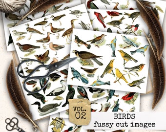 PÁJAROS QUISQUILLOSOS CUT Birds Cut Out, Cut Out Sheet Birds, Collage Paper Birds, Vintage Bird Ephemera, Pictures for Junk Journal, Scrapbook