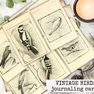 VINTAGE BIRDS oiseaux vintage, cartes de journalisation, éphémère pour journal de pacotille, journal de pacotille imprimable, éphémère imprimable numérique 8,5x11