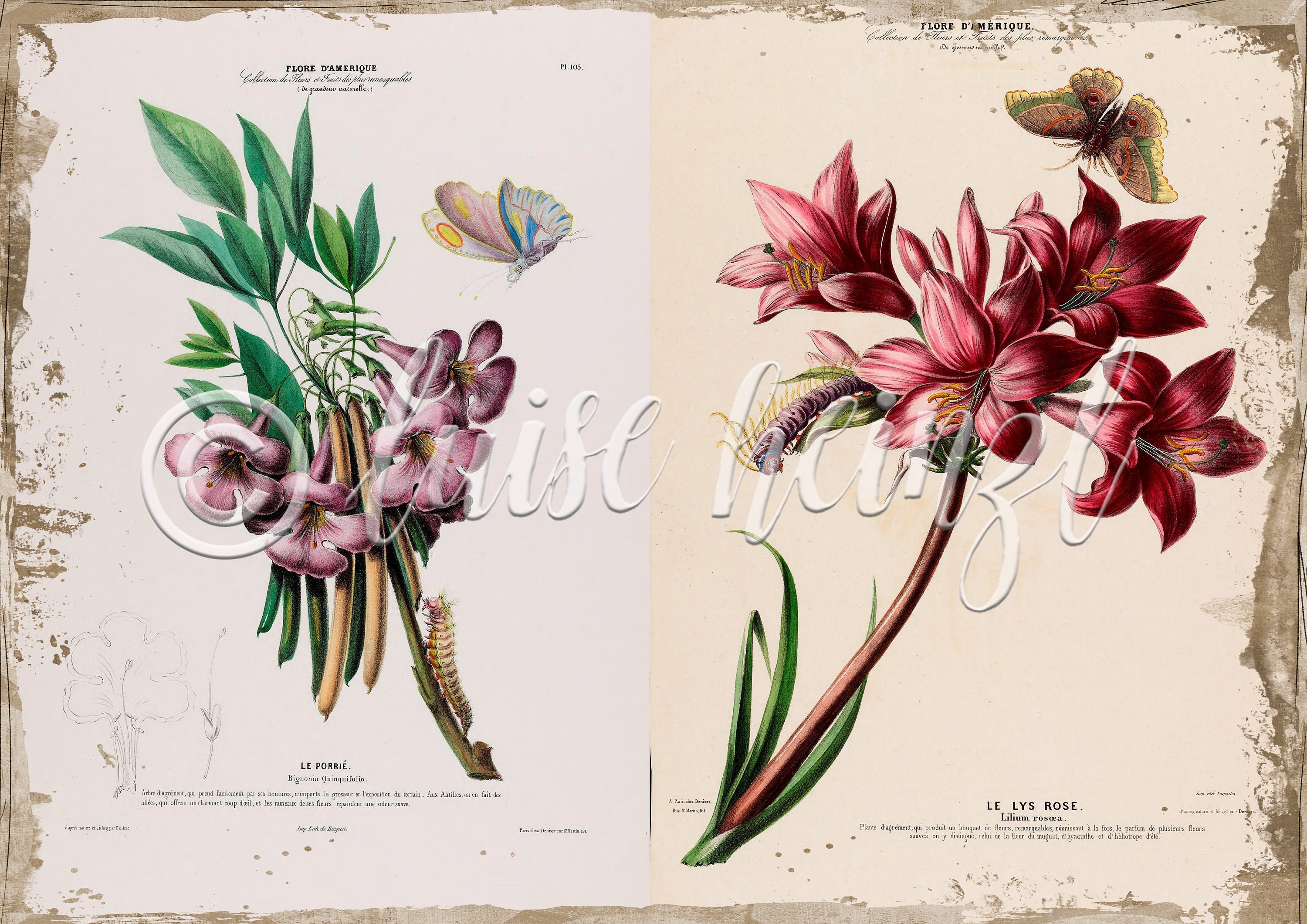 Vintage Floral Book Pages for Junk Journals, Digital Download Flower ...