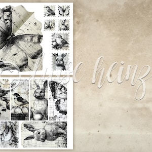 K&ouml;nnte beinhalten: Eine Collage von Illustrationen im Vintage-Stil mit Schmetterlingen, V&ouml;geln und Kaninchen. Die Bilder sind in Schwarzwei&szlig; gehalten, mit einem Hintergrund aus gealtertem Papier. Das Wort "heinzl" ist kursiv geschrieben.