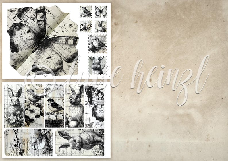 K&ouml;nnte beinhalten: Eine Collage von Illustrationen im Vintage-Stil mit Schmetterlingen, V&ouml;geln und Kaninchen. Die Bilder sind in Schwarzwei&szlig; gehalten, mit einem Hintergrund aus gealtertem Papier. Das Wort "heinzl" ist kursiv geschrieben.