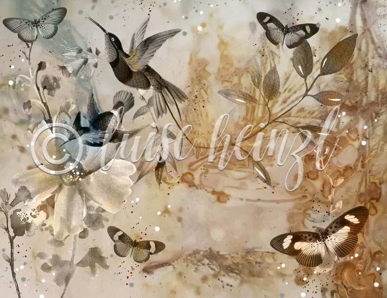 May include: A digital art print featuring a watercolor-style background with a delicate floral design. The print features three butterflies and two hummingbirds in shades of gray and brown.