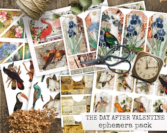 EL DÍA después de SAN VALENTÍN Valentin Ephemera para Junk Journal, Valentine's Day Scrapbook Ephemera Birds Flowers, para descargar e imprimir
