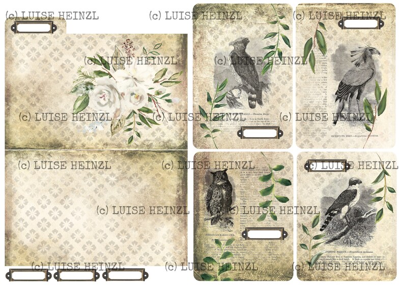 May include: A set of six vintage-style printable journal cards featuring floral and bird illustrations. Each card has a distressed background with a decorative label at the bottom. The cards are perfect for scrapbooking, journaling, or adding a touch of vintage charm to your projects.