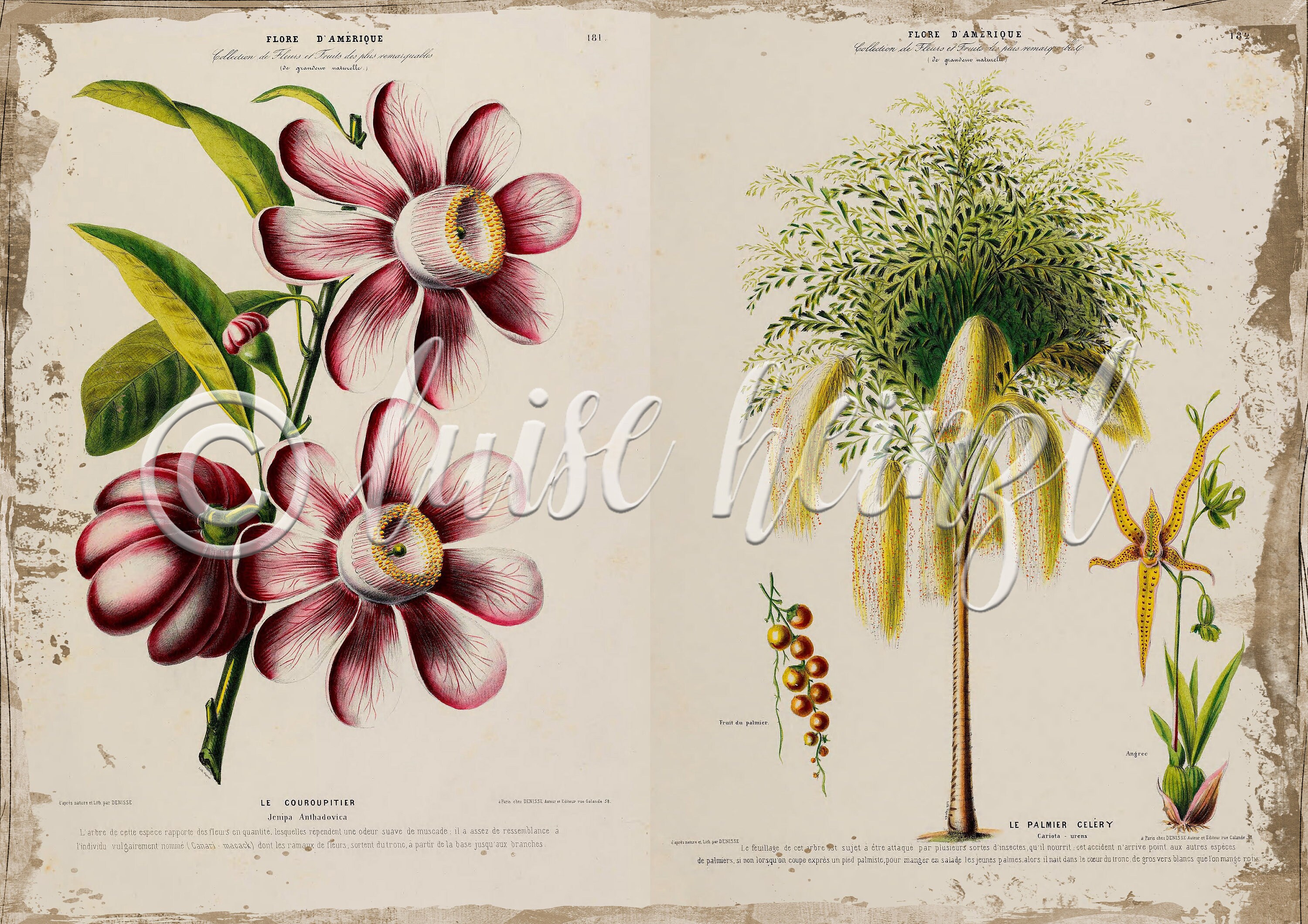 Vintage Floral Book Pages for Junk Journals, Digital Download Flower ...