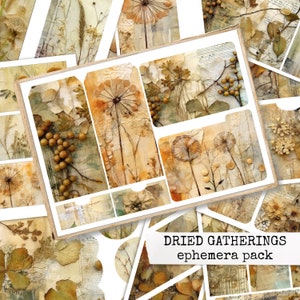 Pacchetto effimeri DRIED GATHERINGS, fiori e piante secchi, effimeri eco tinti per diari spazzatura 21x29.7