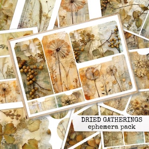 DRIED GATHERINGS ephemera pack, dried flowers and botanicals, eco dyed ephemera for junk journals 21x29,7