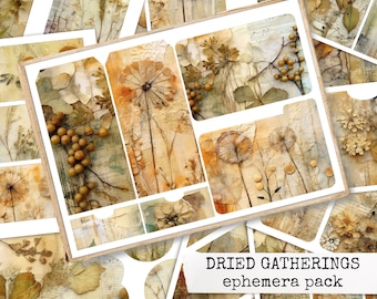 DRIED GATHERINGS ephemera pack, dried flowers and botanicals, eco dyed ephemera for junk journals 21x29,7