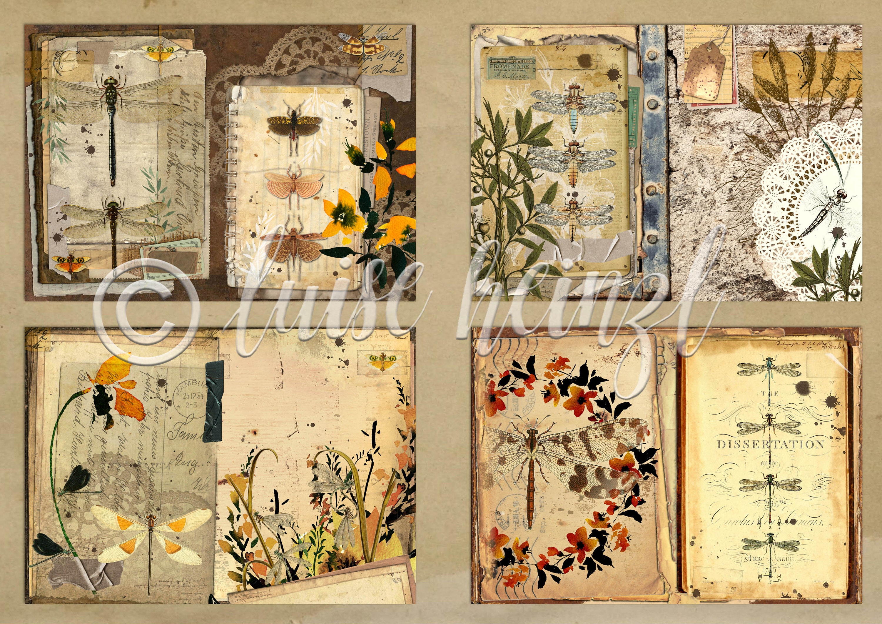 Dragonfly Junk Journal Kit, Dragonfly Lover's Notebook, Download ...