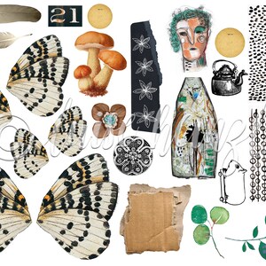 May include: A collection of digital collage elements featuring butterflies, mushrooms, feathers, a teapot, a bottle, a face, a floral design, a cardboard texture, and various black and white patterns.