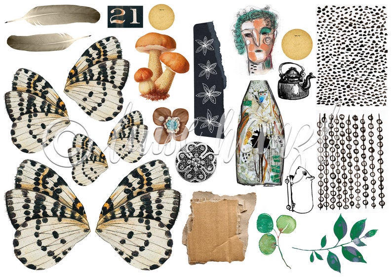 May include: A collection of digital collage elements featuring butterflies, mushrooms, feathers, a teapot, a bottle, a face, a floral design, a cardboard texture, and various black and white patterns.