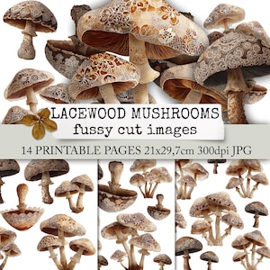 LACEWOOD MUSHROOMS fussy cutting images vintage mushrooms, ephemera for junk journals, bullet journals & scrapbook, journaling cards