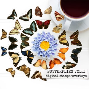 BUTTERFLIES Schmetterlinge digitale Stempel, photoshop overlays, cliparts, digitale Sticker für Junk Journal, Gluebook, Scrapbook