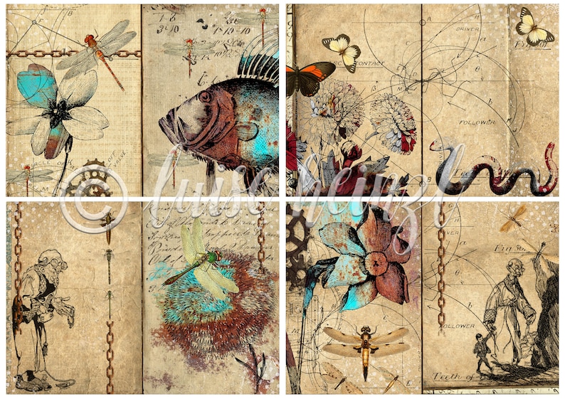 May include: A collage of vintage illustrations featuring a fish, flowers, butterflies, dragonflies, and a skeleton figure. The background is a textured paper with handwritten notes and diagrams.