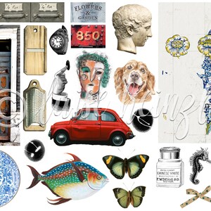 May include: A collage of images featuring a red vintage car, a blue and white patterned plate, a grater, a clock, a bust of a man, a dog, a butterfly, a fish, a bottle, a seahorse, a door, a sign that says "Flowers & Garden", a sign that says "850", and a floral pattern.