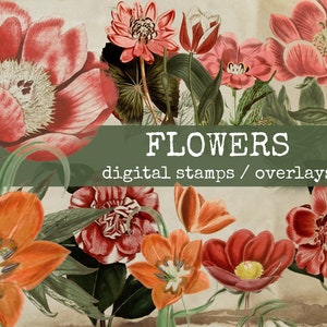 flower digital stamps, photoshop overlay, cliparts for digital designers, junk journals, gluebooks, bullet journal & scrapbook