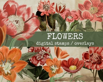 flower digital stamps, photoshop overlay, cliparts for digital designers, junk journals, gluebooks, bullet journal & scrapbook