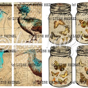 May include: A digital collage sheet with six images. The top row features a blue bird, a bird with a blue crest, and a mason jar with butterflies. The bottom row features a blue bird, a bird with a blue beak, and a mason jar with butterflies.