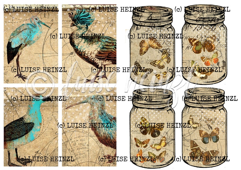 May include: A digital collage sheet with six images. The top row features a blue bird, a bird with a blue crest, and a mason jar with butterflies. The bottom row features a blue bird, a bird with a blue beak, and a mason jar with butterflies.