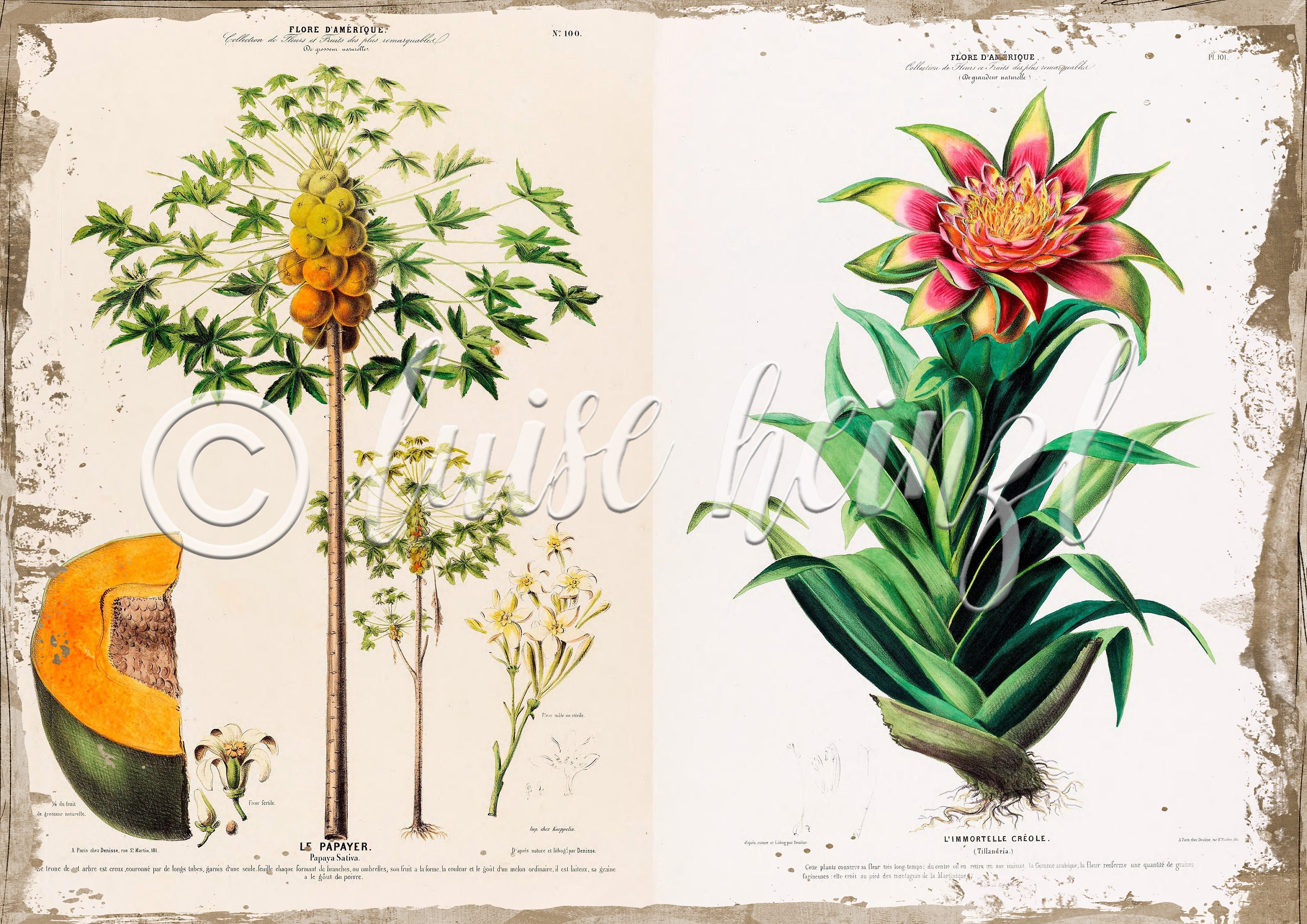 Vintage Floral Book Pages for Junk Journals, Digital Download Flower ...