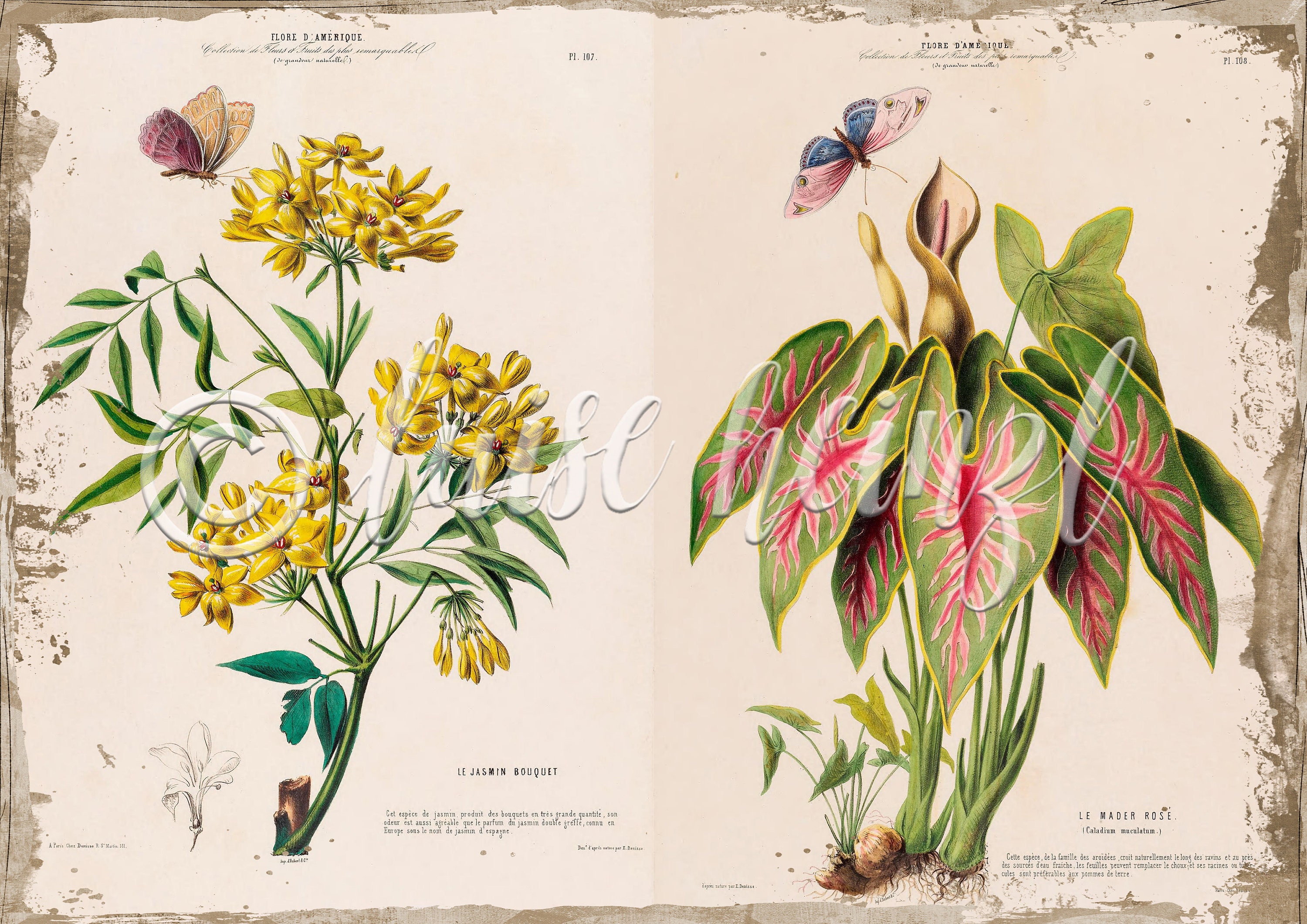 Vintage Floral Book Pages for Junk Journals, Digital Download Flower ...