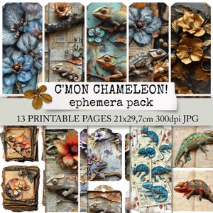 No dalej, KAMELEONIE! Chameleon Junk Journal Ephemera Pack, papier do pobrania, papier ze zwierzętami do notatników, pamiętników, albumów, kartek 21x29,7