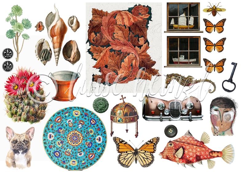 Op de afbeelding: Een collage van verschillende afbeeldingen, waaronder een oldtimer, een vlinder, een vis, een cactus, een schelp, een kroon, een bord, een emmer, een raam, een sleutel, een zeepaardje en een gestileerd menselijk gezicht.