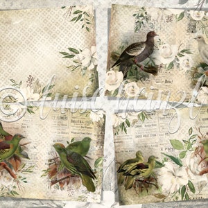 May include: A digital paper pack with four vintage-style designs featuring birds, flowers, and newspaper clippings. The designs are in shades of brown, green, white, and grey.