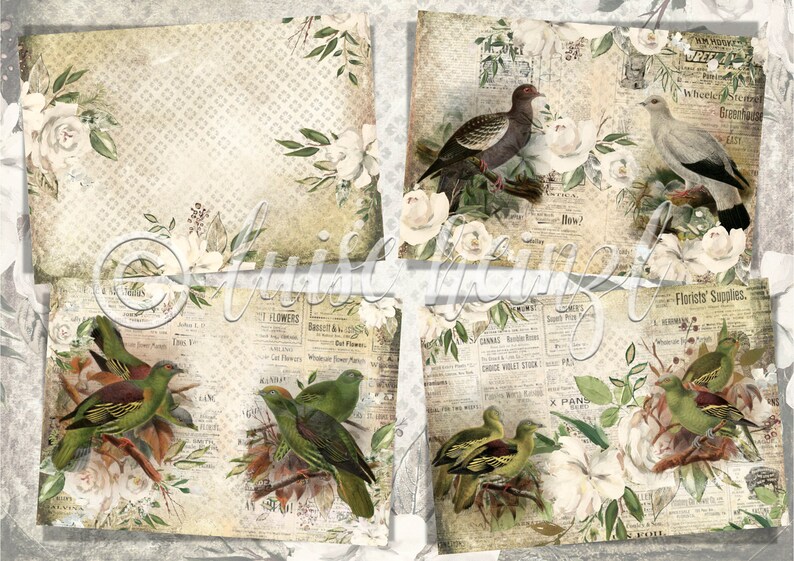 May include: A digital paper pack with four vintage-style designs featuring birds, flowers, and newspaper clippings. The designs are in shades of brown, green, white, and grey.