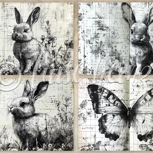 May include: A collage of four images featuring black and white illustrations of rabbits and a butterfly. The images are set against a background of a vintage, distressed, grid-like paper.