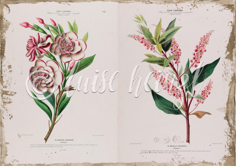Vintage Floral Book Pages for Junk Journals, Digital Download Flower ...