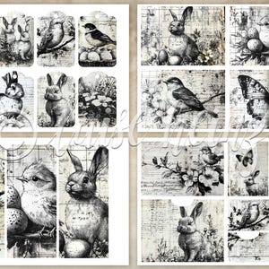 K&ouml;nnte beinhalten: Eine Collage von Bildern im Vintage-Stil mit V&ouml;geln, Kaninchen und Schmetterlingen. Die Bilder sind in Schwarzwei&szlig; gehalten und haben ein gealtertes, abgenutztes Aussehen. Einige Bilder befinden sich auf tagf&ouml;rmigen Hintergr&uuml;nden, andere auf rechteckigen Hintergr&uuml;nden.