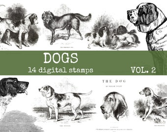 dogs digital stamps, photoshop overlay, cliparts for digital designers, junk journals, gluebooks, bullet journal & scrapbook