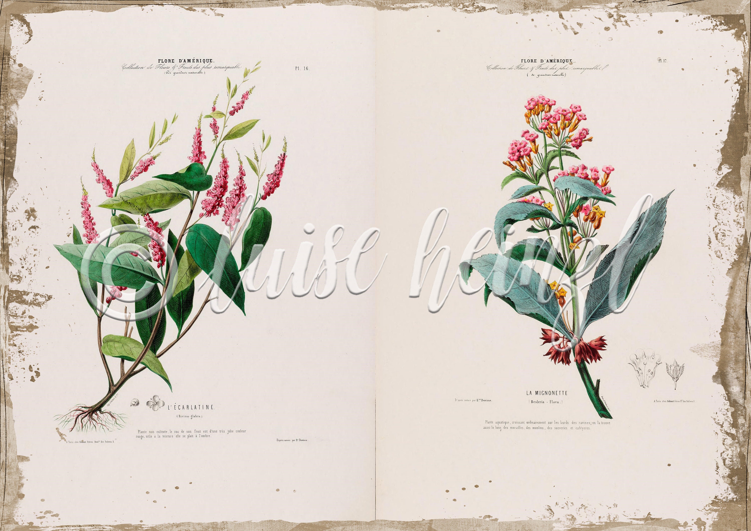 Vintage Floral Book Pages for Junk Journals, Digital Download Flower ...