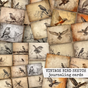 Cartes de journalisation VINTAGE BIRD SKETCH, cartes de journal indésirable, pack éphémère, papier numérique vintage oiseaux journal scrapbooking 21x29.7