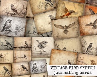 VINTAGE BIRD SKETCH journaling cards, vintage birds digital printable junk journal ephemera, instant download, collage, scrapbook
