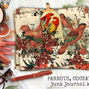 PAPEGAAIEN, COCKATOO Parrot Junk Journal Kit, afdrukbare pagina's & ephemera voor het maken van junk journals, notebooks, scrapbook 8.5x11