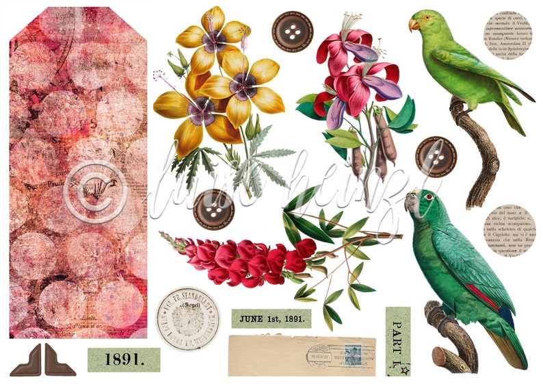 junk journal ephemera DIY tag kit, create own embellishments tags, collage sheet scrapbook, gluebook, whimsical flower bird ephemera image 2