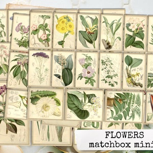 MATCHBOX MINIS 59 peças cartões de flores efêmeras carta e din A4, conjunto de impressão botânica, diários de lixo efêmero, mini etiquetas de flores vintage